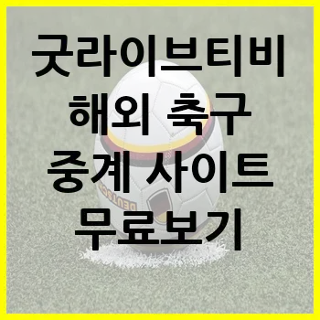 굿라이브티비 해외 축구 중계 사이트 무료보기